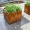 Cuadrado resistente al aire libre Rusty Corten Steel Planter Boxes para el jardín